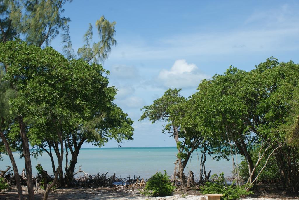 Bonita'S Apartment Caye Caulker Room photo
